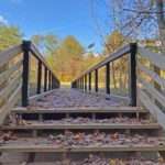 Boch Hollow Hiking Trail and Pedestrian Bridge, Hocking County, Ohio | MSP Design